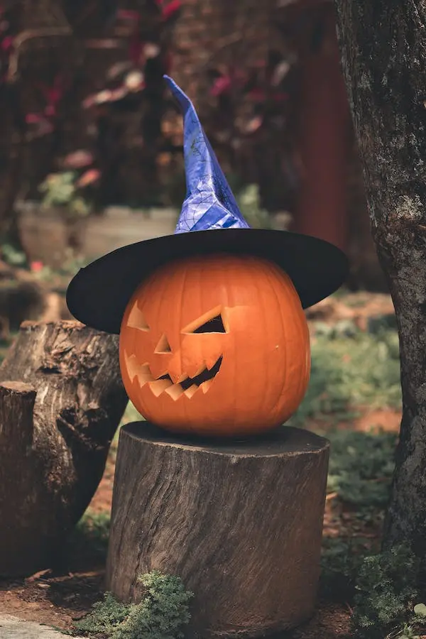 Hallowe’en – A Spooky Miscellany – Carverd Pumpkin with Witches Hat