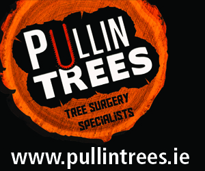 Pullin Trees - Mobile Ad